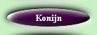 Knaagdier